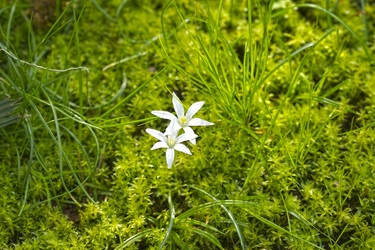 Similar image 21202883