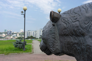 Similar image 21202743