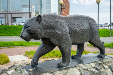 Similar image 21202745