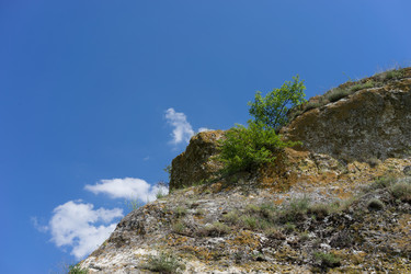 Similar image 21202895