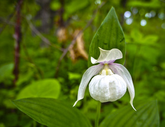 Similar image 21202901