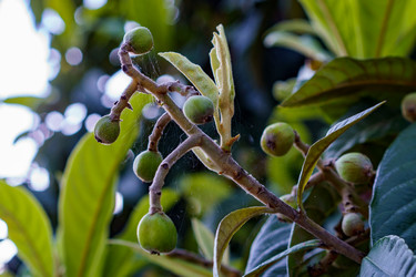 Similar image 21202903