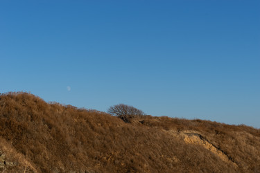 Similar image 21202946