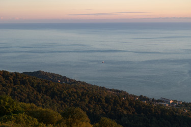 Similar image 21202947