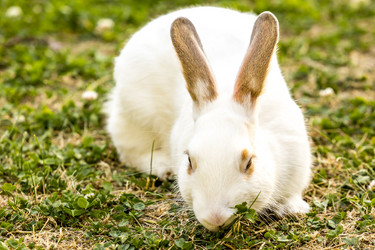 Similar image 21202578