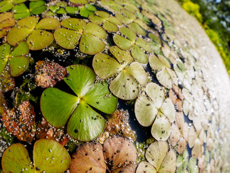 Similar image 21202580