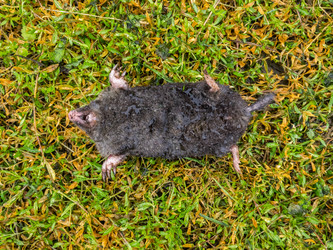 Similar image 21202581