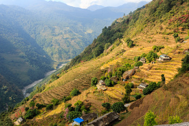 Similar image 21202592