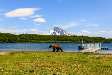 Similar image 21202599