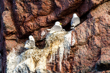 Similar image 21202608