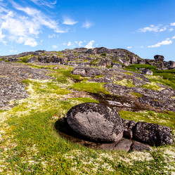 Similar image 21202609