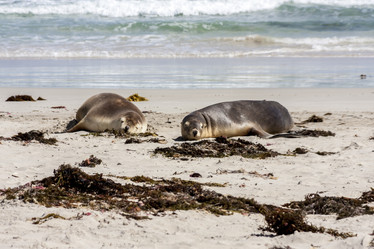 Similar image 21202615