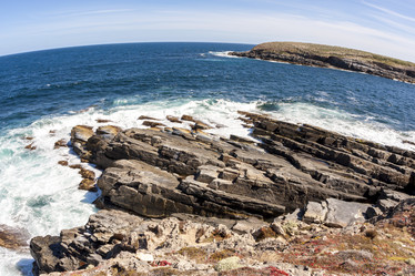 Similar image 21202617