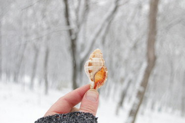 Similar image 21237999