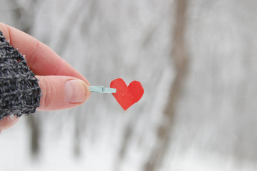 Similar image 21238016