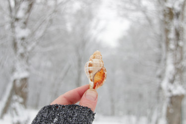 Similar image 21238024