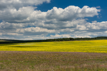 Similar image 21213949