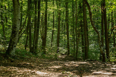 Similar image 21213952