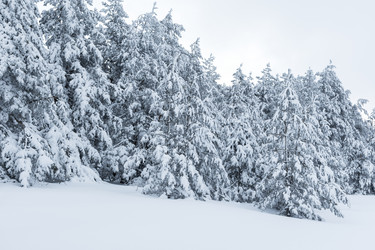 Similar image 21213954