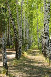 Similar image 21213957