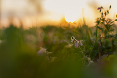 Similar image 21213959