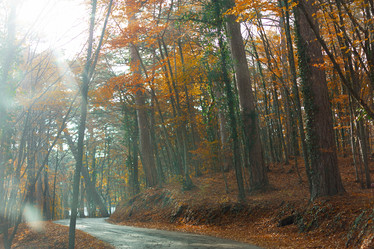 Similar image 21213961