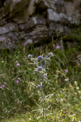 Similar image 21204460