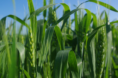 Similar image 21214018