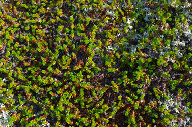 Similar image 21214022