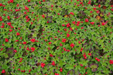 Similar image 21214023