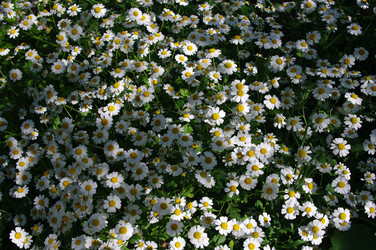 Similar image 21214025