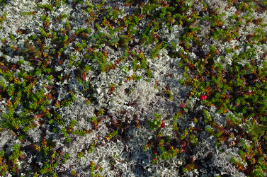 Similar image 21214026