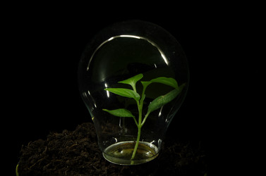 Similar image 21214036