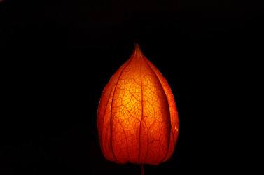 Similar image 21214038