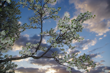 Similar image 21214043