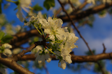 Similar image 21214044