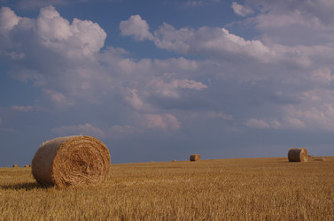 Similar image 21209606