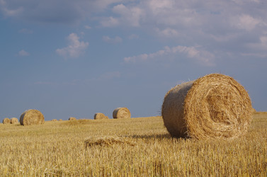 Similar image 21209607