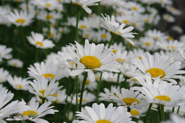 Similar image 21209611