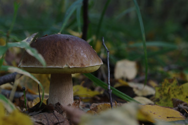 Similar image 21209614