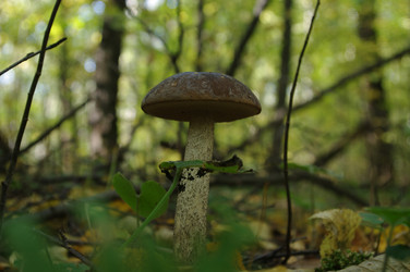 Similar image 21209615