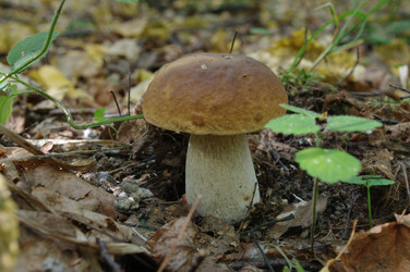 Similar image 21209616