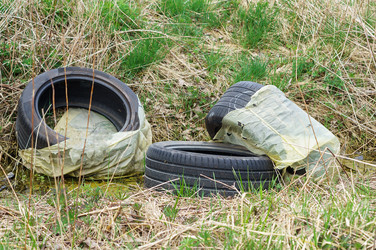 Similar image 21215748