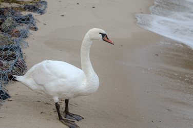 Similar image 21205601