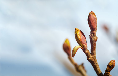 Similar image 21215750