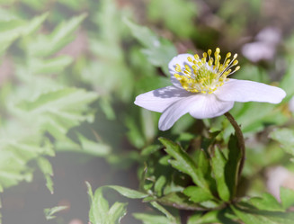 Similar image 21215751