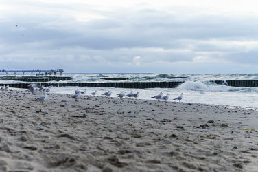 Similar image 21228485