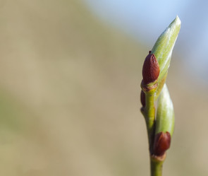 Similar image 21228488