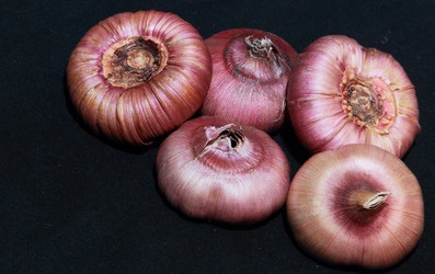 Similar image 21255422