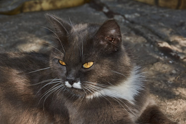 Similar image 21237225